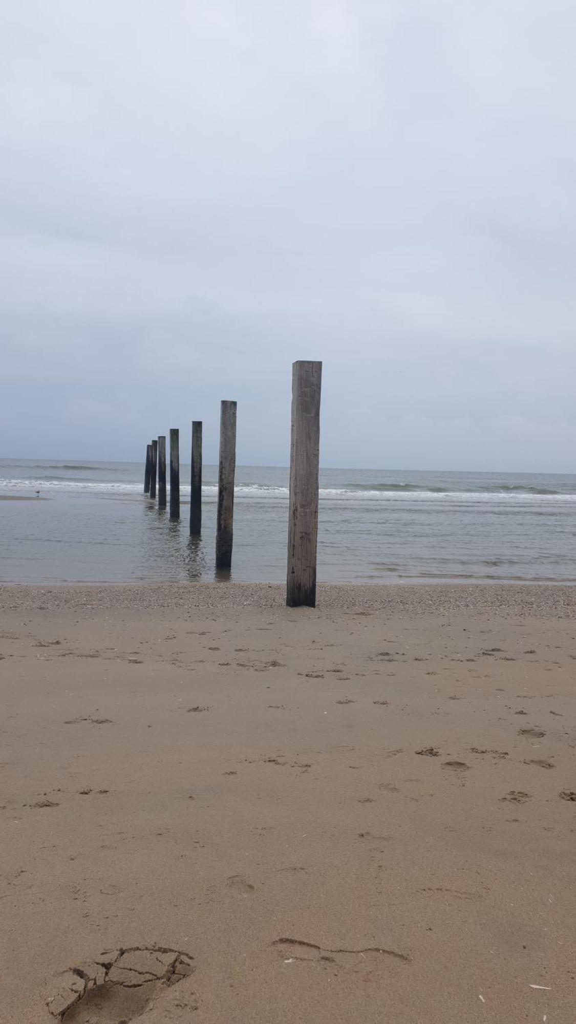 Rembrandts Beach View Zandvoort Eksteriør billede