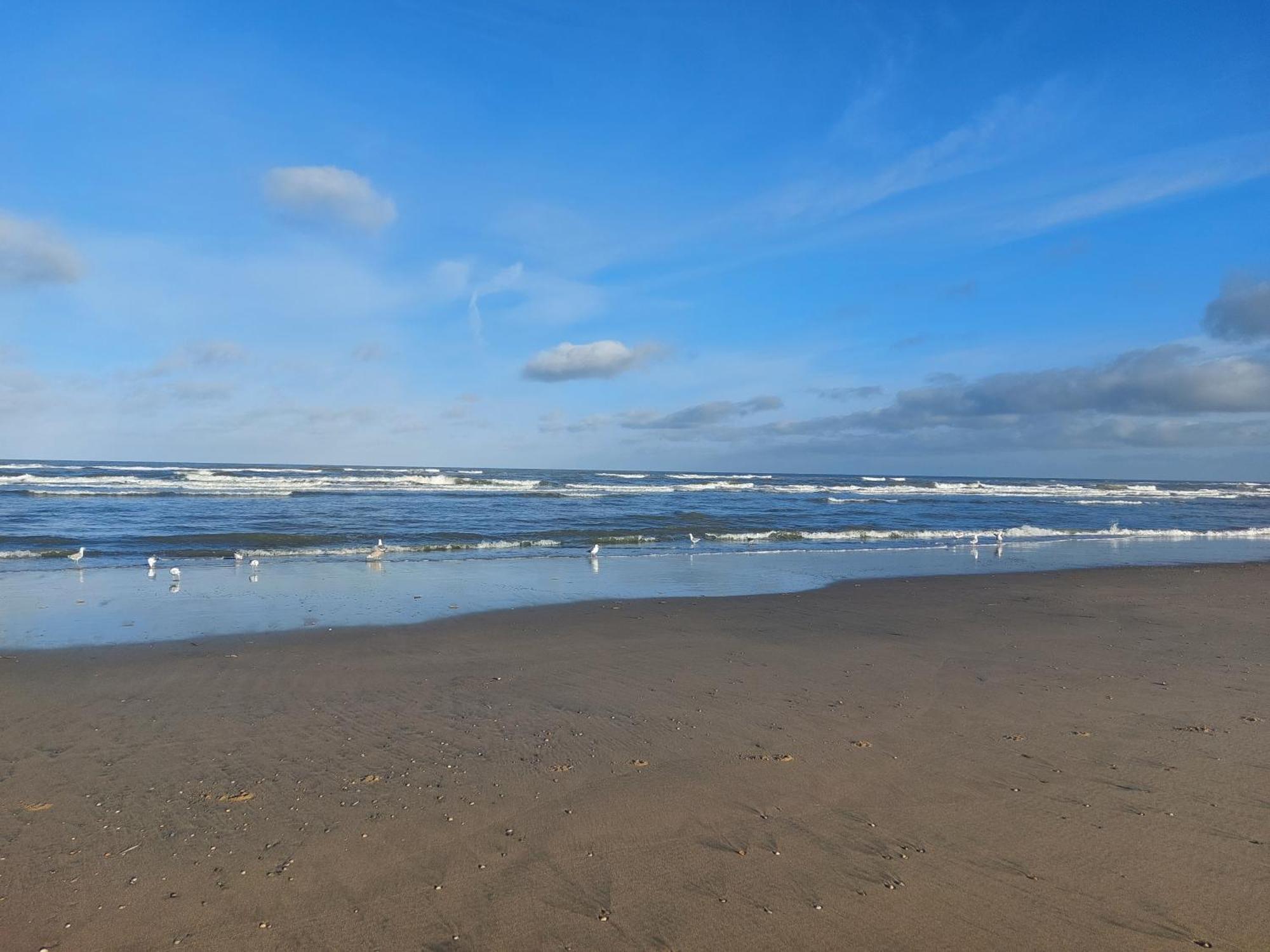 Rembrandts Beach View Zandvoort Værelse billede